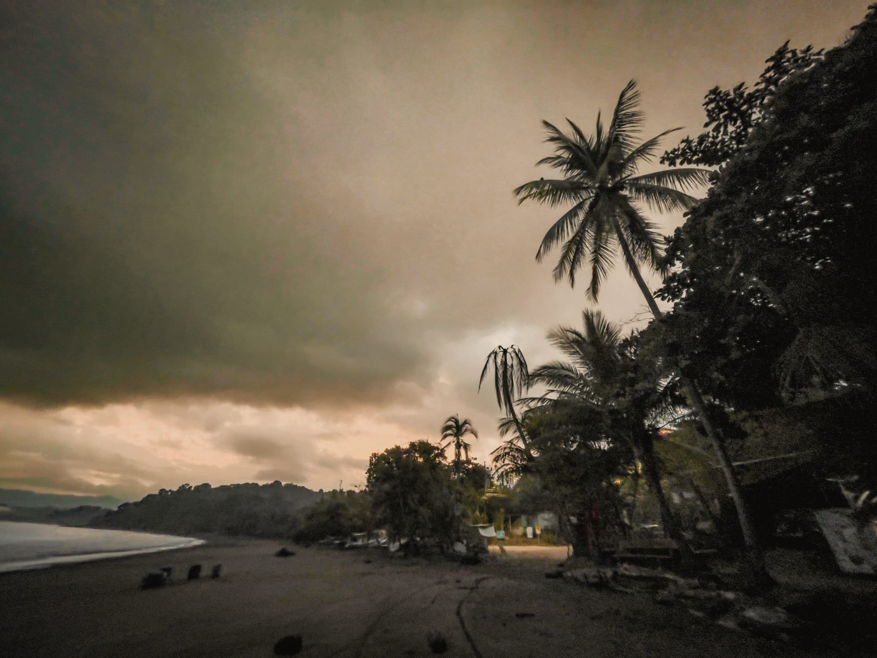 Dark sand at dusk, palms leaning over the far end of the beach.