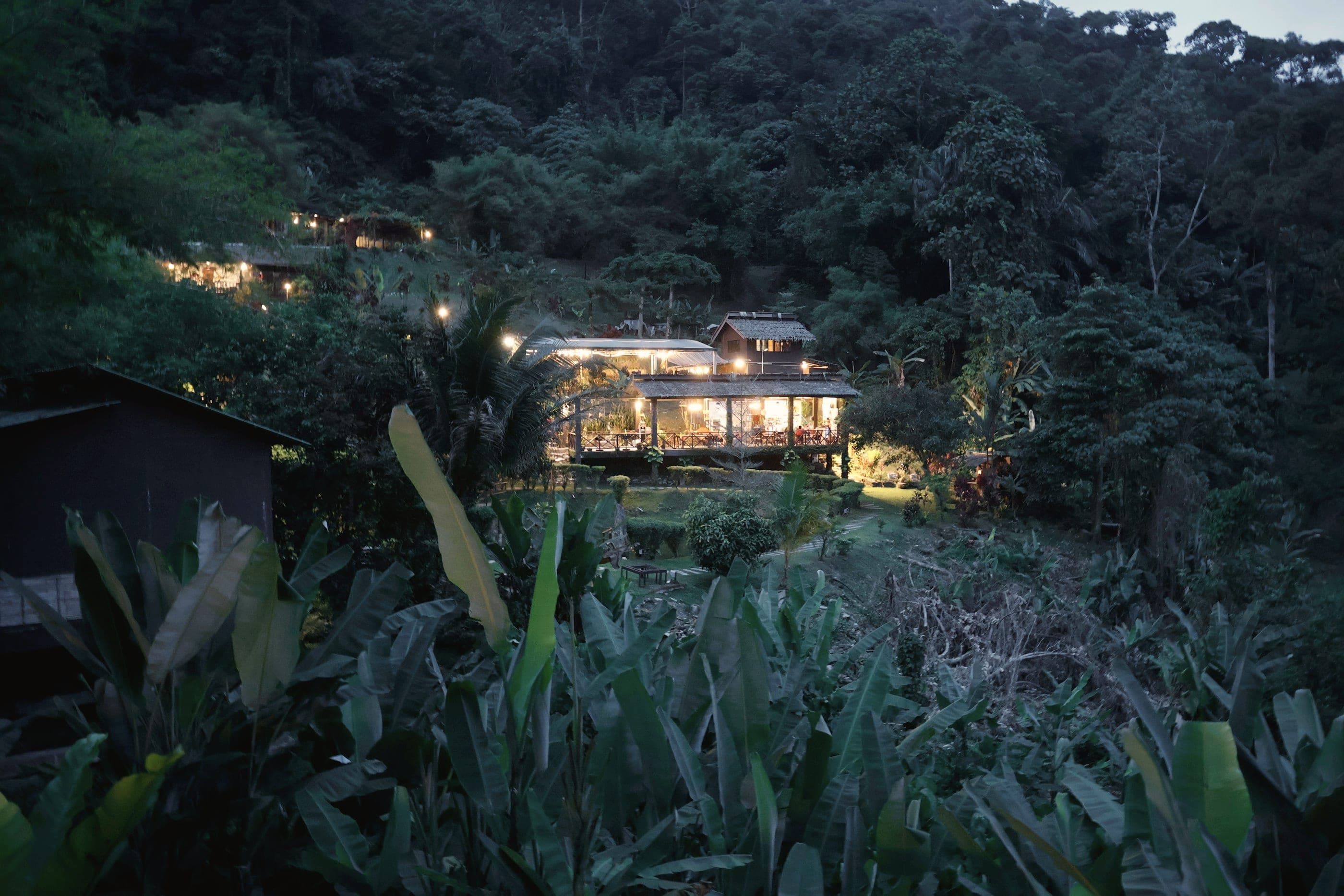 Lodge terraces lit at dusk on a wooded slope, banana leaves in the foreground.