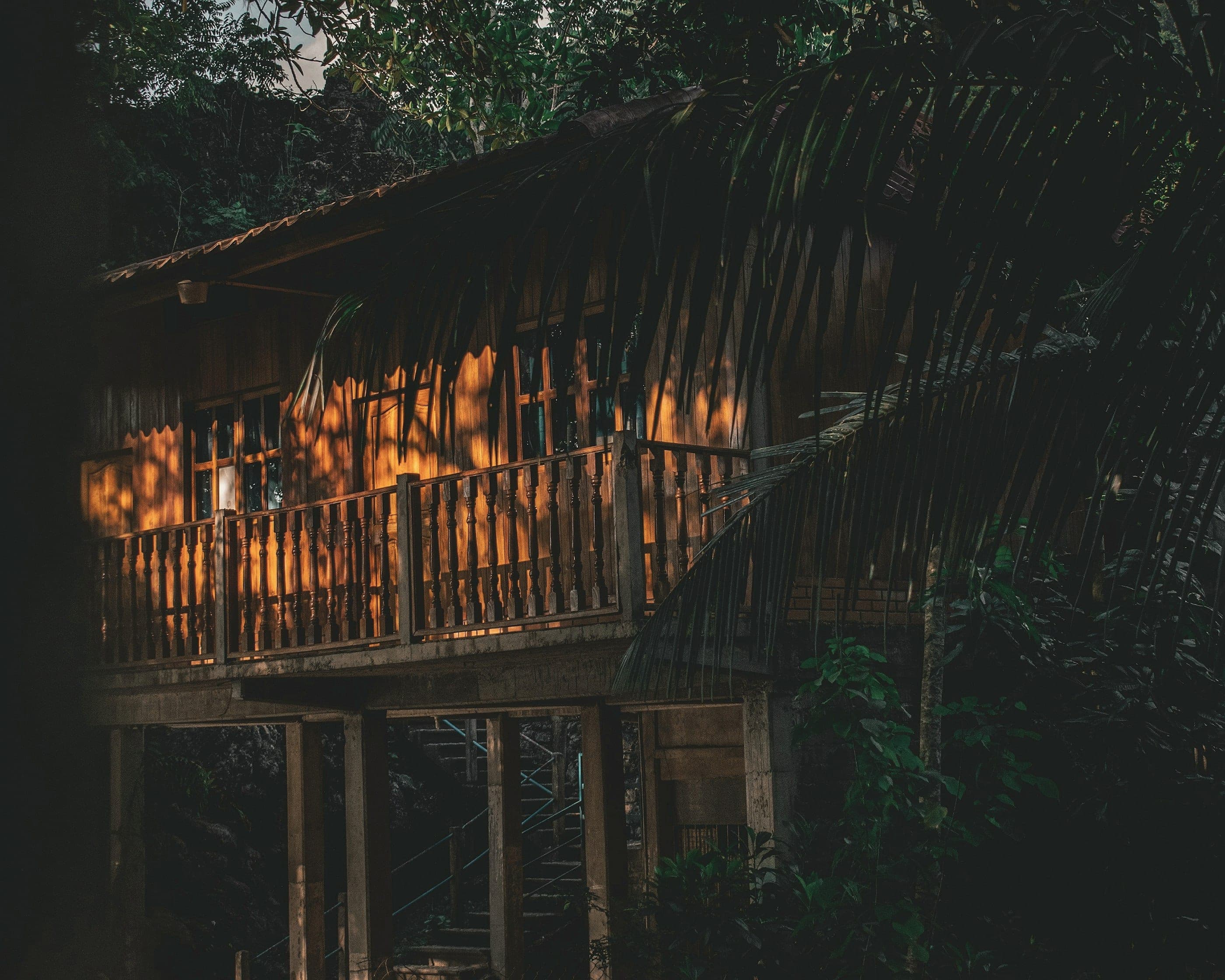 A raised timber house among big trees, golden light on its balustrade.